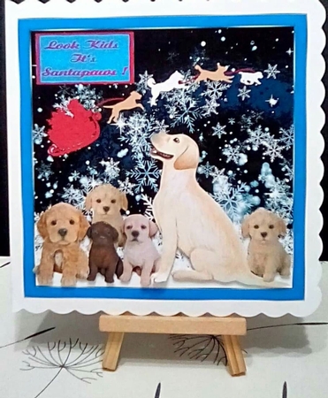 Santa Pawmas 3 by Benita Jenkinson