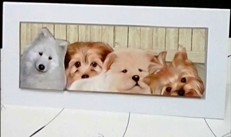 Large DL  Dog Family  Selfie  2 by Benita Jenkinson