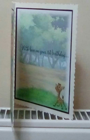 Geoffrey the Giraffe ages 1-5  by Benita Jenkinson