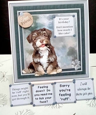 Ruffing It by Benita Jenkinson