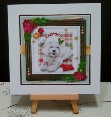 Dog Days Of Christmas 4 by Benita Jenkinson
