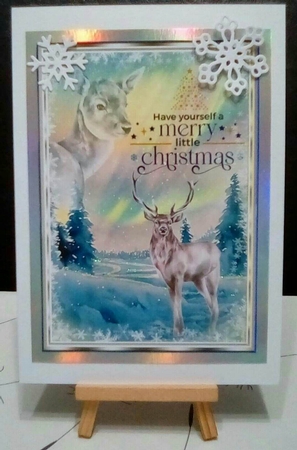 Aurora Winter Landscape Collection  by Benita Jenkinson
