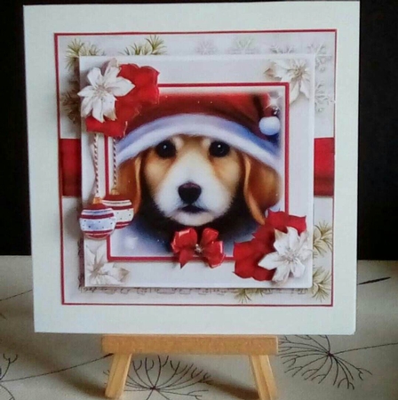 Christmas Puppy Wishes by Benita Jenkinson