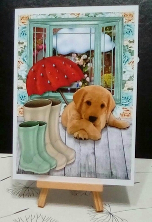 Get Well Soon Dog Mini Kit by Benita Jenkinson