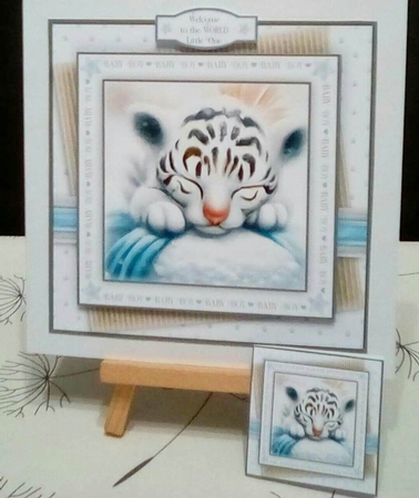 Welcome to the World (Boy) by Benita Jenkinson