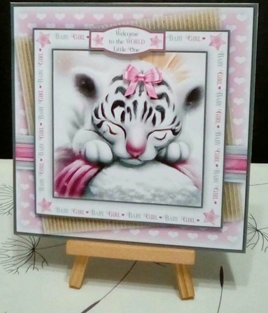 Welcome to the World (Girl) by Benita Jenkinson