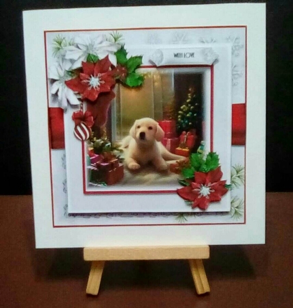 Waiting to unwrap by Benita Jenkinson