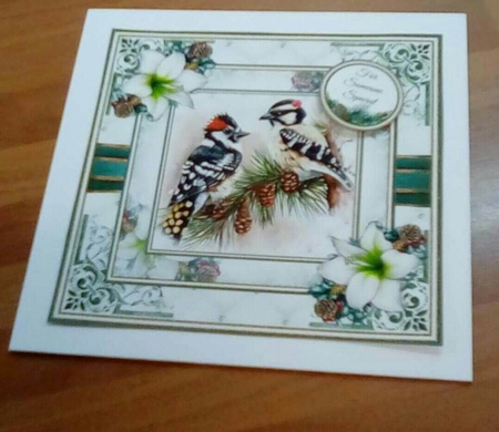 Christmas Bird Collection 02 by Benita Jenkinson