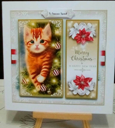 The Cats in the Christmas tree again! by Benita Jenkinson
