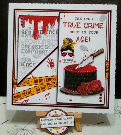 The True Crime Fanatic  by Benita Jenkinson