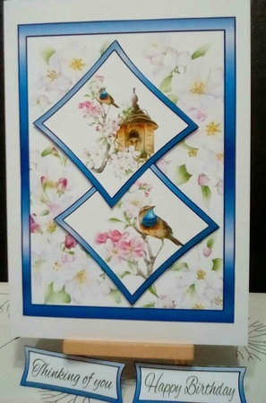 Two squares Birdhouse & blossom by Benita Jenkinson