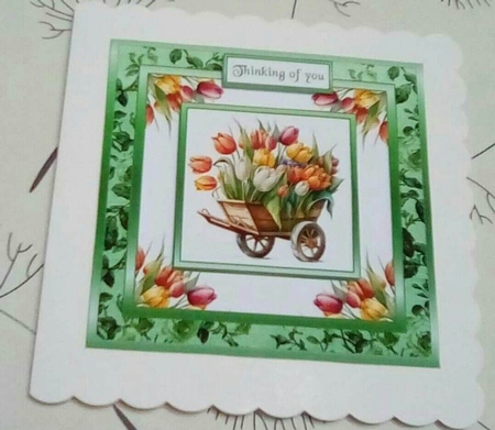 SC Barrow full of tulips by Benita Jenkinson