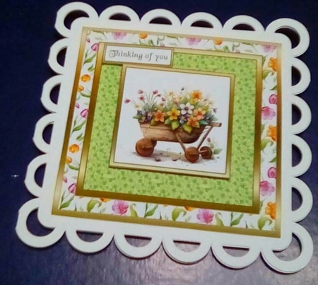 SC Barrow full of spring flowers by Benita Jenkinson