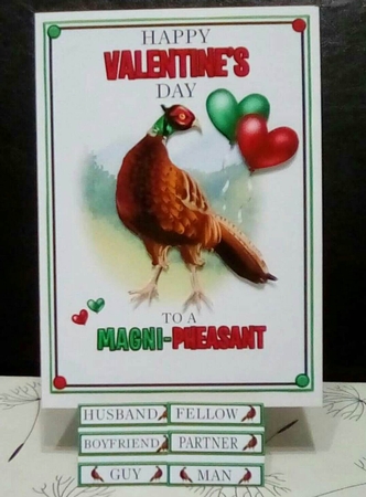 You are a Magni-Pheasant Guy by Benita Jenkinson
