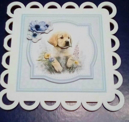 GOLDEN RETRIEVERS  by Benita Jenkinson