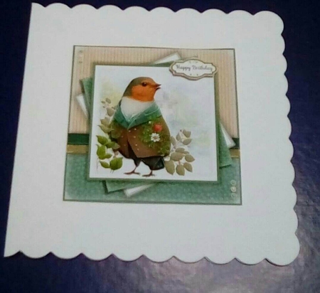 The Elegant Robin by Benita Jenkinson