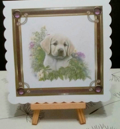 Spring Time Dog Bumper Kit  by Benita Jenkinson