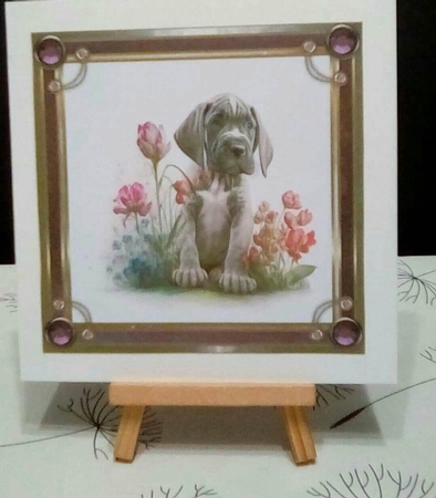Spring Time Dog Bumper Kit  by Benita Jenkinson
