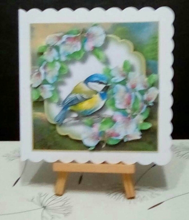 Beautiful Watercolour Bird With White Blossom by Benita Jenkinson
