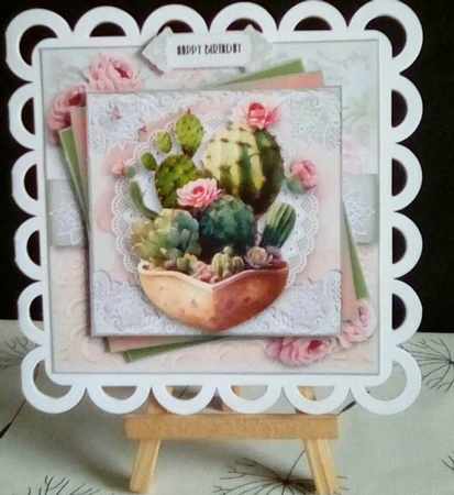 Flowering Cactus by Benita Jenkinson