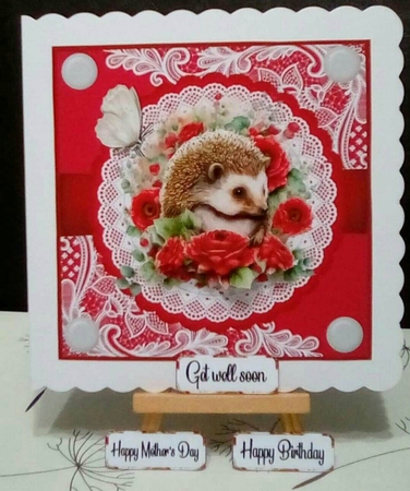 Hedgehog Greetings by Benita Jenkinson
