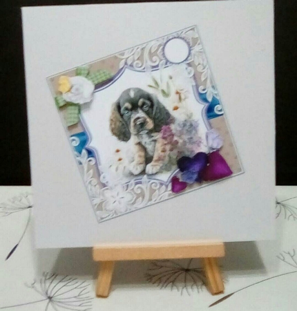 KPD23-American Cocker Spaniel 1 by Benita Jenkinson