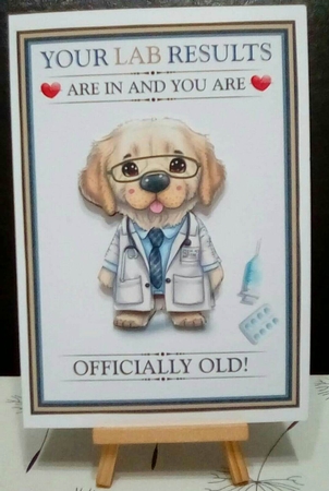 Your Lab Results Are In by Benita Jenkinson