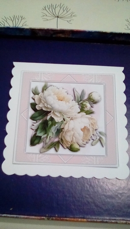 8x8 Mini Kit, B3eautiful White Peonys by Benita Jenkinson