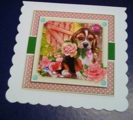 Puppy Love by Benita Jenkinson