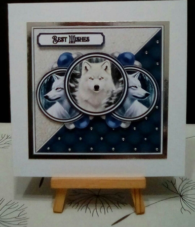 The Wonderful Wolf by Benita Jenkinson