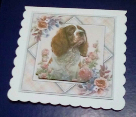 8x8 Mini Kit, Beautiful Springer Spaniel by Benita Jenkinson