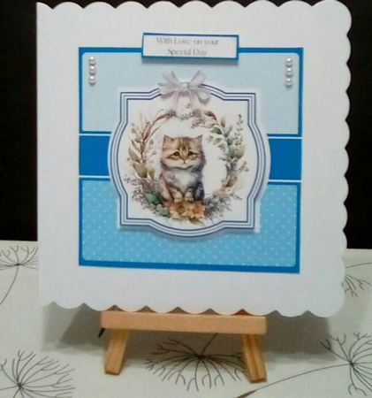 Four Feline Friends (7x7 inch square card) by Benita Jenkinson