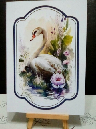 Swans Toppers by Benita Jenkinson