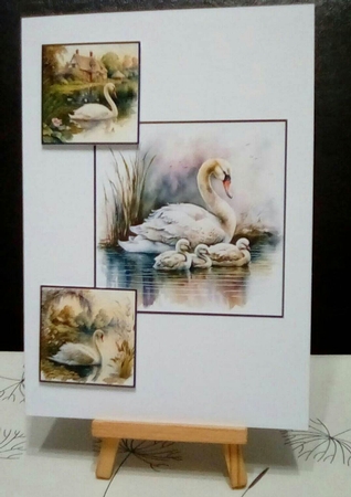 Swans Toppers by Benita Jenkinson