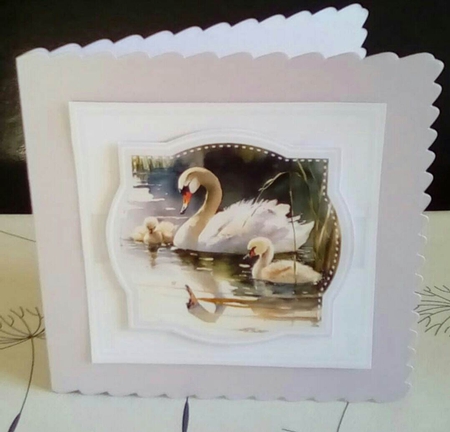 SWAN FAMILY by Benita Jenkinson
