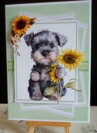 Miniature schnauzer wishes 7x7 & A5 mini kit by Benita Jenkinson