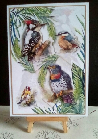 Feathered Friends by Benita Jenkinson