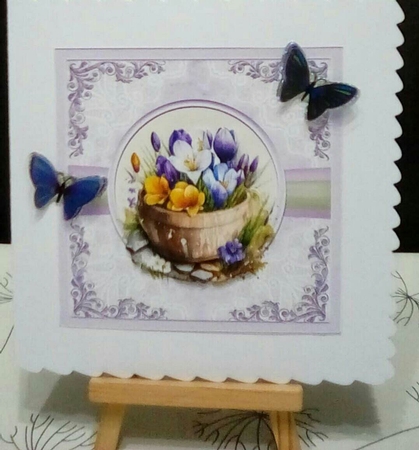 Container of Crocuses 7x7 by Benita Jenkinson