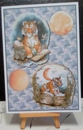 Tiger Tales A5 by Benita Jenkinson