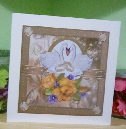 Swans in love by Benita Jenkinson
