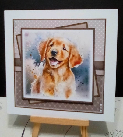 Hap Hap Happy dog retriever  by Benita Jenkinson