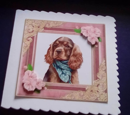 Cute Cocker Spaniel Birthday Topper by Benita Jenkinson
