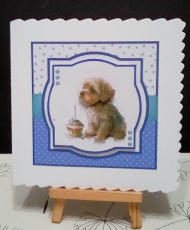 Birthday Pooches - Makes 5 Cards (7x7 inch square card kit) by Benita Jenkinson
