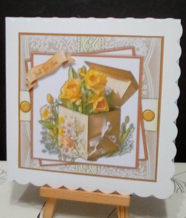 8X Mini Kit, Gorgeous Box of Spring Daffs by Benita Jenkinson