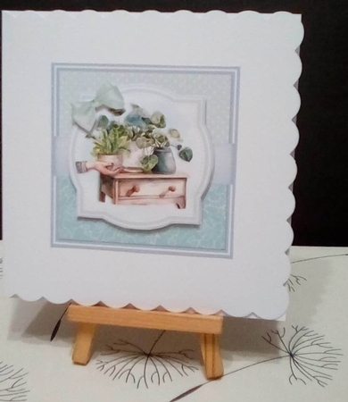 LOVE PLANTS by Benita Jenkinson