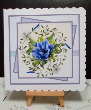 Purple Anemone 7x7 by Benita Jenkinson