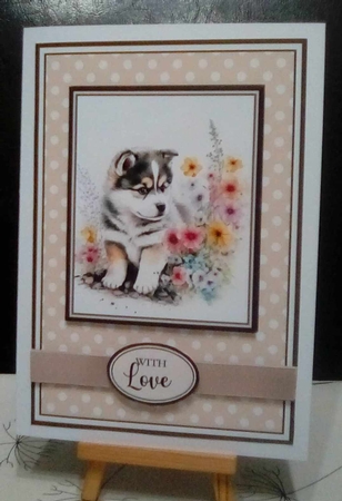 A5 Malamute Dog Collection Mini Kit - x6 A4 Sheets  by Benita Jenkinson