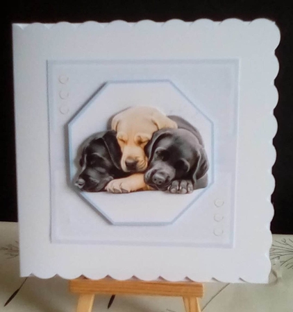 Sweet Dreams by Benita Jenkinson