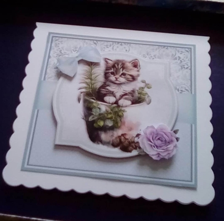 PURRFECT POTS by Benita Jenkinson