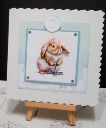 Gym Bunnies by Benita Jenkinson